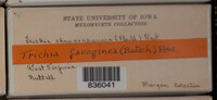 Image Associated With the Occurence
